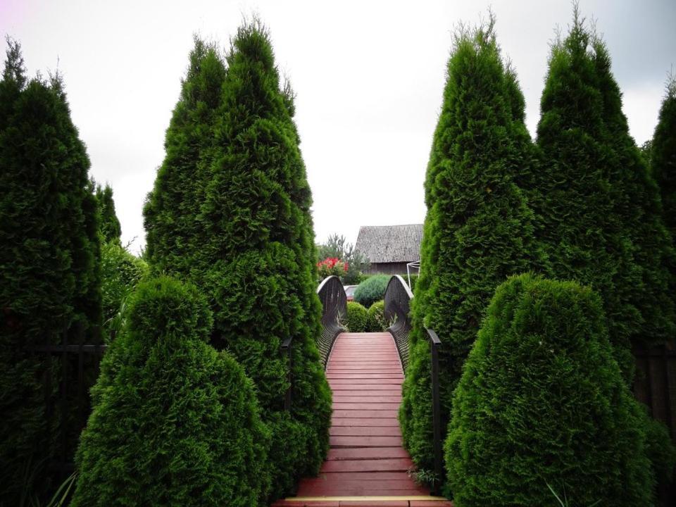 Villa 7 Dziewczyn Dźwirzyno Exterior foto